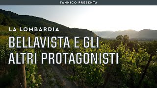 Bellavista e gli altri protagonisti della Franciacorta  Tannico [upl. by Ramaj]