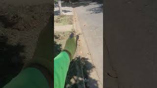 Sprinkler System Project Part 3 Trenching [upl. by Anaiuq]