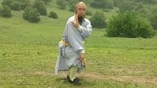 Shaolin Kung Fu Combat Styles 5 7star form 七星拳 qixing quan [upl. by Fayina]