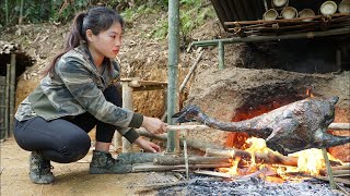 200 days of survival in the wild processing wild boar meat hunting wild chicken at night [upl. by Denney617]