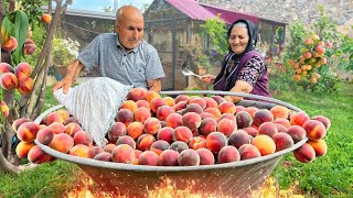 Organic Peach Harvest Making Lots of Peach Butter and Natural Juice [upl. by Ellennad]