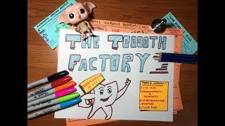 Parasympathetic Vs Sympathetic Pharmacology TTF [upl. by Divadnoj]