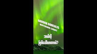 How to See the Northern Lights Aurora Borealis Explained” nothernlights auroraborealis [upl. by Refiffej]