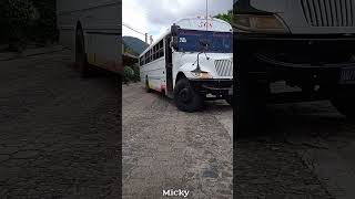 Transporte ALEX OMAR  El BLANQUITO de la 508 de ARCATAO 😎 [upl. by Aynekal]