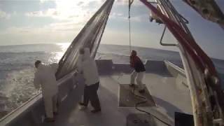 Seine Fishing Bunkers 2016 Atlantic Menhaden [upl. by Manvil289]