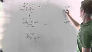 Fünffachzucker Haworth Fischer Teil2 Chemie  Klett Lerntraining [upl. by Pfosi]