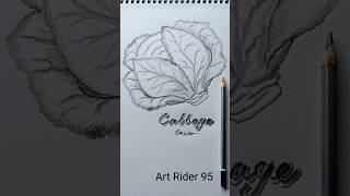 How to draw a Cabbage vagetables drawing shorts viralvideo [upl. by Kathie]