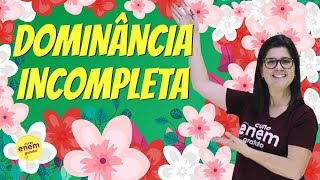 DOMINÂNCIA INCOMPLETA  1ª LEI DE MENDEL  Resumo de Biologia para o Enem [upl. by Xonel871]