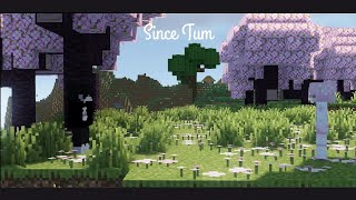 JANI  Since Tum ft ‪TalhaAnjum  Prod by superdupersultan Minecraft Music Video [upl. by Yennej]