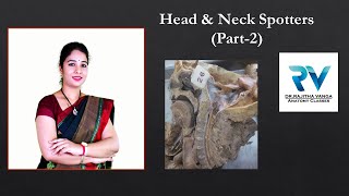 Head and Neck Spotters Part2 by Dr Rajitha Vanga [upl. by Ennazzus]