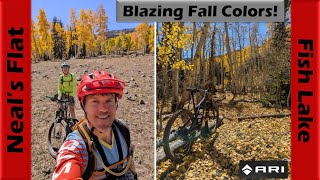 Aspens in glorious fall color on the Neals Flat Trail  Mountain Biking Fish Lake Utah [upl. by Mayda]