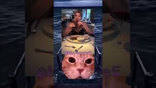 Funny Cats Part 4 🤣❗ Laper Neng ⁉️ funny cats catshorts catlover catmemes short catvideos [upl. by Brass]