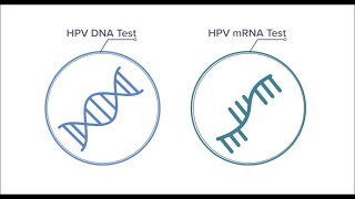 Know your mRNA from your DNA [upl. by Okir984]