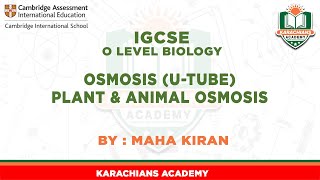 O LEVEL BIOLOGY  OSMOSIS UTube PLANT amp ANIMAL OSMOSIS [upl. by Auqenet]