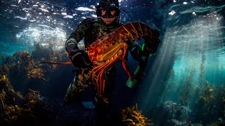 Harbor House Life Harvesting Lobsters and Yellowtail in California [upl. by Asle]