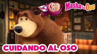 Masha y el Oso 2024 🐻👱‍♀️ Cuidando al Oso 🐾👣 1 hora 🤗 Dibujos animados 🎬 Masha and the Bear [upl. by Berkshire]