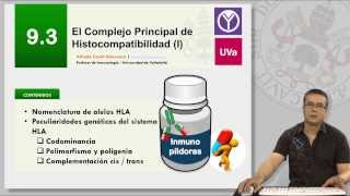 93 EL COMPLEJO PRINCIPAL DE HISTOCOMPATIBILIDAD I [upl. by Griff609]