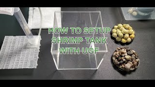 How to setup a shrimp tank with Undergravel Filter Box [upl. by Ayortal521]