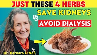 Dr Barbara ONeill Says Just 4 Best Natural Herbs for Your Kidneys to Avoid Dialysis [upl. by Rimidalg]