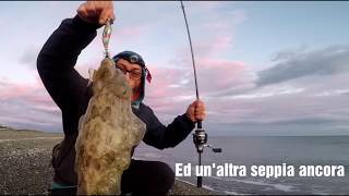 Clipangler  Eging Pesca alla seppia con strike in diretta [upl. by Yednil]