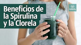 Beneficios de la espirulina y la clorela [upl. by Ecertak]