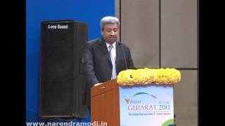 Pankaj Patel Chairman amp MD Cadila Healthcare Ltd speaks at Vibrant Gujarat Summit 2013 [upl. by Hanson]