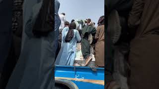 Dr mahrang baloch dharna in Balochistan 😎 shortvideos [upl. by Winnah972]