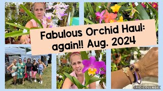 Fabulous orchid haul from our local fair [upl. by Jaclin]