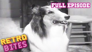 Lassie full episodes  The Bonnet  30 Minutes  Old Cartoons [upl. by Ariaet]