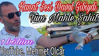 1bölüm Kanat Sesi Davul Gibiydi Tüm Mahle Şahit YouTube Mehmet Olcar [upl. by Willey]