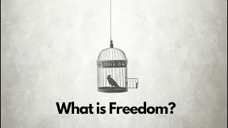 What is Freedom I TheSaneSociety [upl. by Gordan233]