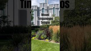 Mount Timpanogos LDSTemple on a sunny summer afternoon churchofjesuschristoflatterdaysaints [upl. by Sileray]