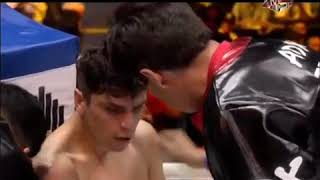 Jorge Linares vs Ivan Cano  Knockout Highlights [upl. by Iruam]