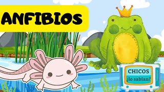 Los ANFIBIOS para niños 🐸🐸🐸 Vídeos Educativos para Niños 😊😊😊 [upl. by Ellenrahc]