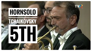 Tchaikovskys 5th Symphony Horn Solo [upl. by Hplodnar]