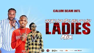 Ladies Dancehall Mix April 2023 Dexta Daps  450  Dyani  Slow Wine  Bedroom Mix Calum beam intl [upl. by Htedirem]