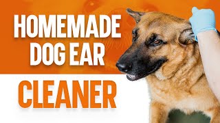 Homemade Dog Ear Cleaner Learn How to Make Your Own [upl. by Bolme843]