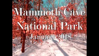 Hiking Mammoth Cave National Park Turnhole Bend via Buffalo Creek [upl. by Valencia]