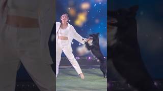 This dancing dog stole the show [upl. by Deehsar]