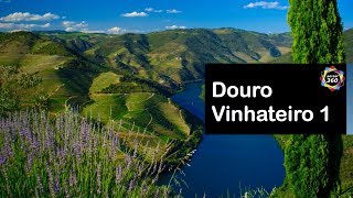 DOURO VINHATEIRO 1 ðŸ·  PORTUGAL  PATRIMONIO DA HUMANIDADE [upl. by Alrahs]