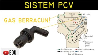 Sistem Positive Crankcase Ventilation PCV pada Mesin Komponen Fungsi dan Cara Kerja [upl. by Latt]