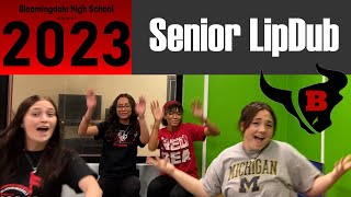 Bloomingdale HS Senior LipDub 2023 [upl. by Sieracki607]