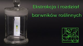 Ekstrakcja i rozdział barwników roślinnych [upl. by Ecyla]