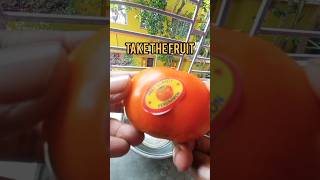 How to eat Japanese persimmon [upl. by Atnoled]