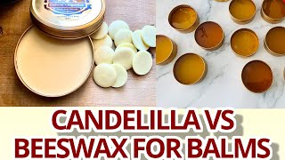 Candelilla wax vs Beeswax for Lip Balms Results and recipe included [upl. by Eduardo]