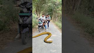 Naagin ka badla 😱🐍 shorts ytshorts viralvideos snake [upl. by Yerd413]