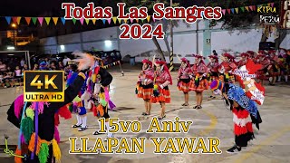 Huayllascha  Ollantaytambo  Cusco  Llaqtaymanta Pacha Peru  15vo Aniv de Llapan Yawar 2024 [upl. by Rehteh678]