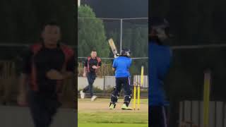 Waseem  Inswinging yorker  2nd August 2024  Cricket UAE 🇦🇪 youtubeshorts uaecricket [upl. by Eevets]