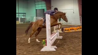 DGS Short Story  2019 AQHA Mare  Practice Horse Show in Missouri 323 [upl. by Yaffit698]