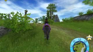 Star Stable Quest Nr 267 Tag 14  Der vierte Hinweis [upl. by Refinneg]